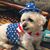 Lucindy Egger's profile image