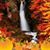 Morag Donnelly Jones's profile image