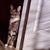 Melissa A. Petrone Frost's profile image