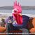 Nate Ericson's profile image
