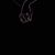 Kirstin Stallings's profile image
