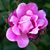 Jill D Zwick's profile image