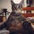 Karen Rusin's profile image