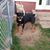 Michael La Barr's profile image