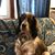 Monica Wentland Pluta's profile image