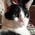 Kristen Merlino Guzmann's profile image