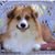 Bonnie Mitchener's profile image