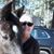 Sherri Mills-Anderson's profile image
