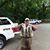 Burl Rongey's profile image