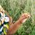 Toyia A Mays's profile image