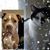 Sheryl Neel's profile image