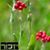 Tzvia Schweitzer's profile image