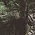 Cody Bruder's profile image