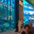 Joao Gaspari's profile image