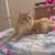 Debbie Morris's profile image