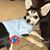 Holly Parker's profile image
