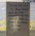 Sandy Miller's profile image