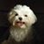Mia Chavez Saenz's profile image