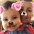 Lisa Seebeck Courser's profile image