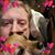 Joe Palko's profile image