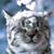Denise Zarling's profile image