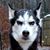 Tim Bratcher's profile image