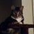 Deborah Gaynor's profile image