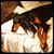 Lois Ann Snyder's profile image