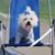 Liz Quarles's profile image