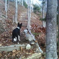 David L Rittinger's profile image
