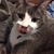 Jenny Musil's profile image