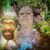 Deanna Green's profile image