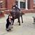 Noah Ingersoll's profile image