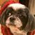 Bonny Jarvis's profile image