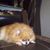 Sandy K Thompson's profile image