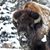 Bob Madura's profile image