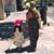 Sandra Saldaña's profile image