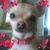 Barbara Watson Bowman's profile image