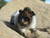 sadie e.'s profile image
