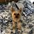 Nancy Burd Collette's profile image