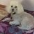 Mary Hopp's profile image