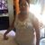 Elda Alfaro's profile image