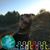 Lea AD Var's profile image