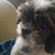Michelle Prendergast's profile image