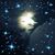 Rachel Faria-Schumacher's profile image