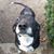 David Kelly's profile image