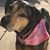 Kathy Hoprich's profile image
