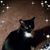 Marie Bowers's profile image