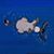 Allison Priesand McMillan's profile image