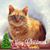 Bob Williams's profile image
